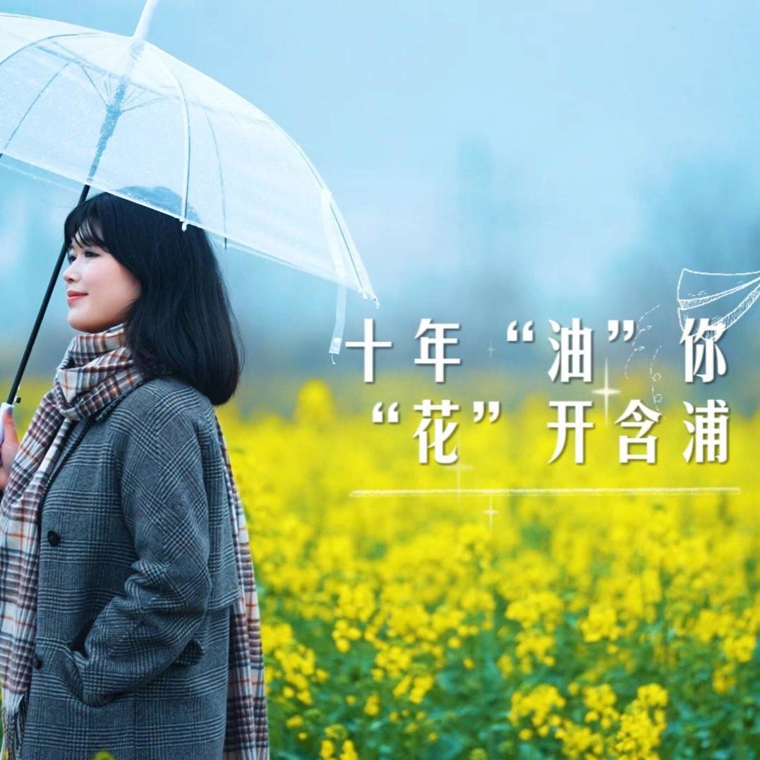 潭ʮ㻨_յڌúͲ˻_Ļʽߺ潭^(q)L(fng)ҽ}(dng)l(f)xʽĻ潭^(q)Ͳ˻